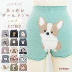 腹巻きパンツ レディース あったか 防寒 ふわふわ もこもこ 腹巻 インナー 冷え取り 冷え対策 アニマル柄 シュナウザー シマエナガ ゆうパケット2点まで可