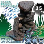 水槽用天然石 3.5kg 溶岩石プレート アクアリウム 石 レイアウト ボルケーノロック 天然石 水槽石 オシャレ 水槽用品 アクアリウム用品 岩 水槽岩 装飾