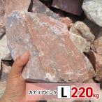  двор камень блокировка сад камень сломан каштан камень kana задний розовый L 220kg (22kgx10 коробка ) садоводство камень сад блокировка камень авария блокировка Driger ten камень каштан камень ... камень 