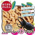 カブトムシ ペレットマット 自然木 1000円 ポッキリ 送料無料 べたべたとはおさらば 木質ペレット おがくずギュッと圧縮 じゅうたん 昆虫マット
