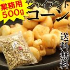 飲食店御用達　業務用500g入りジャイアントコーン　全国送料無料