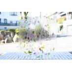 ¥¹¥Æ¥ó¥É¥°¥é¥¹ ºàÎÁ ¥¬¥é¥¹ ¥Ö¥ë¥¶¥¤_BU-4128-0000_´ðËÜ¥µ¥¤¥º¡§21cm¡ß20cm_(201800058 D)