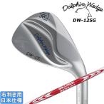 キャスコ 2025 ドルフィンウェッジ DW-125G [シルバー] ウェッジ (NS PRO MODUS3 TOUR120)