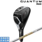  Callaway 2026 QUANTUM MAX [k Anne tam Max ] служебная программа (DynamicGold HT)