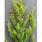 ougomhiba желтый золотой hibakjakhiba срезанный цветок рождественский венок swag материал живые цветы 