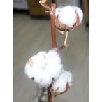  хлопок. дерево хлопок цветок срезанный цветок рождественский венок swag материал живые цветы сухой цветок цветок дизайн 