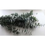  живые цветы. эвкалипт . произведение . lease комплект зеленый lease You ka Release орнамент дверь lease аромат. lease цветок lease рождественский венок ручная работа комплект вход 