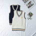  вязаный лучший большой размер S?5XL церемония окончания школьный свитер входить . тип V шея женский глубокий V шея входить . тип свитер 