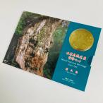 1995 год эпоха Heisei 7 год мир природа . производство магазин . остров деньги комплект номинальная стоимость 666 иен памятная монета память деньги деньги комплект . монета coin через . структура . отдел 