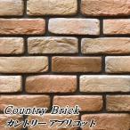 レンガ タイル 壁 貼る 壁用 壁レンガ アンティーク 軽量 ブリックタイル カントリーアプリコット 0.7m2 48枚入 室内 内装 外壁 壁材