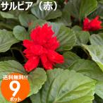 商品画像3