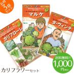 【1000円ポッキリ】野菜のタネ カリフラワーセット イタリアの珍しい野菜のタネ3種類を送料無料でお届け!!