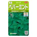  овощи. вид реальный . трава 8084 трава мята перечная 