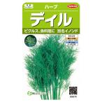 野菜の種　実咲ハーブ8079 ディル （イノンド）ハーブ