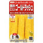 野菜の種　実咲野菜1211 倒れにくいゴールドラッシュ９０