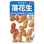野菜の種　実咲野菜7570 落花生