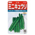  овощи. вид реальный . овощи 0402 Mini огурец liru