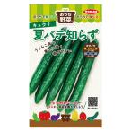 野菜の種　実咲野菜0520 おうち野菜 