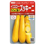  овощи. вид реальный . овощи 1106 желтый кабачок желтый Young man sakata. tane