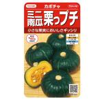  овощи. вид реальный . овощи 1003 Mini каштан тыква каштан . маленький 