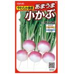 野菜の種　実咲野菜5403 あまうま小かぶ　あやめ雪