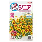 花の種　実咲花6754 暑さＯＫ　ジニア　プロフュージョン　レッドイエローバイカラー