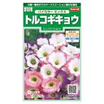 花の種　実咲花6581 トルコギキョウ　バイカラーミックス
