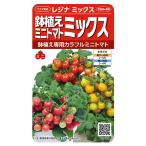  овощи. вид реальный . овощи 920172 растение в горшке мини помидоры rejina Mix 