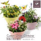 季節の寄せ植え ギフトに最適です。 カスタムオーダーできるボールプランター鉢 送料無料 沖縄・離島を除く