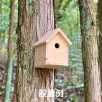 鳥の巣箱 / 夏休み 工作キット 自由工作 自由研究 手作り 工作 低学年 高学年 小学校 木工 野鳥 観察　送料無料　東濃ヒノキ　ver.2020