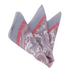  Италия производства ручная работа серый peiz Lee рисунок мужской pocket square 