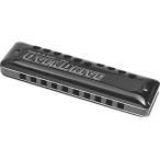 SUZUKI スズキ 10穴ハーモニカ OVER DRIVE MR-300 D調