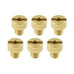 poshu лицо (POSH FAITH) аксессуары для мотоцикла main jet 6 большой размер main jet комплект Mikuni ( круг большой ) TM/TMR/MJN