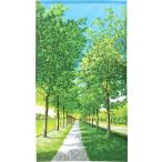 ショッピングのれん のれん　暖簾　目隠し　間仕切り　洋風　風景  景色　新緑並木道  85×150cm　日本製　受注生産　送料無料