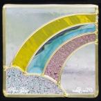 ピュアグラス Dサイズ 200角 SH-D16(メーカー直送)(代引不可)