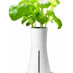  автоматически полив делать ... Северная Европа дизайн. Smart гидропонная культура комплект BOTANIUM(botaniam) ( затонированный белый )