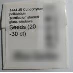 【種子パッケージ】コノフィツム・ペルシーダム 'pardicolor'(Conophytum pellucidum 'pardicolor')