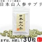 日本山人参　サプリ 30粒 ヒュウガトウキ サプリ 日向当帰　サプリ　宮崎県産 無農薬 神の草