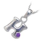 Yahoo! Yahoo!ショッピング(ヤフー ショッピング)ネックレス レディース 天然石 イニシャル H イニシャル 2月誕生石 アメジストペンダント ネックレス CanCam掲載 オーダー