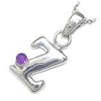 Yahoo! Yahoo!ショッピング(ヤフー ショッピング)ネックレス レディース 天然石 イニシャル Z イニシャル 2月誕生石 アメジストペンダント ネックレス CanCam掲載 オーダー