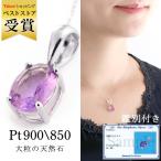 �ͥå��쥹 ��ǥ����� ŷ���� ���᥸���� �ץ���� �ͥå��쥹 2�� ������ ��������