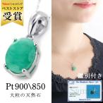 �ͥå��쥹 ��ǥ����� ŷ���� ������� �ץ���� �ͥå��쥹 5�� ������ ��������