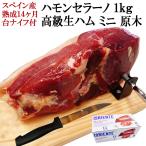 ショッピングお歳暮 楽しい体験 生ハム ミニ 原木 セット 1kg  ( 台 ナイフ 付 ) 14ヵ月熟成 ハモンセラーノ ブロック お取り寄せ 高級 ハムギフト