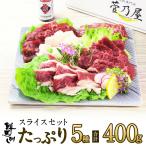 ショッピング御中元 母の日 父の日 ギフト プレゼント 馬刺し 馬肉 熊本 直送 スライス 400g 5種 霜降り ロース40g 赤身 フタエゴ コウネ 馬刺 肉 グルメ 約10人前 老舗 菅乃屋