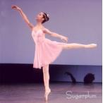 海と真珠a ４号 ５号 バレエ衣装 Buyee 日本代购平台 产品购物网站大全 Buyee一站式代购 Bot Online