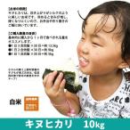 お得！！令和3年度産 キヌヒカリ　精米　白米　10kg（10kg×1袋）兵庫県上郡町産　送料無料