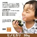 令和5年度産 ヒノヒカリ　玄米　30kg　兵庫県上郡町産　送料無料