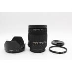 ＜＜フード付き！！＞＞【美品】SIG