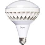 スタイルプラス LED 屋外用 電球 200W 型 20W TK-PAR38-18W 電球色 3000K 2800lm フリッカーフリー