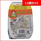 ご飯 Aカットごはん パックご飯 1ケース 12個 入り